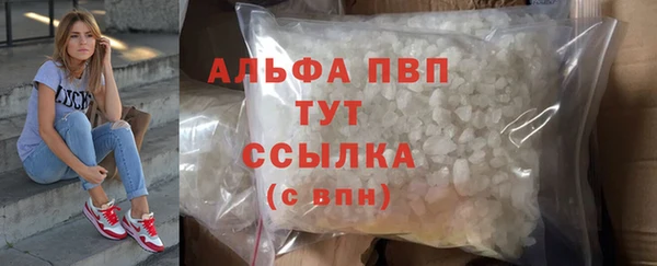 винт Алзамай