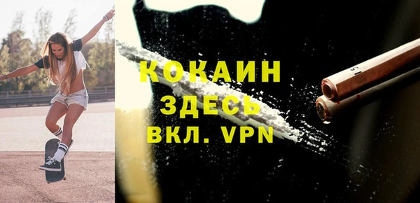 винт Алзамай