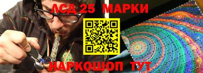 шишки Донской