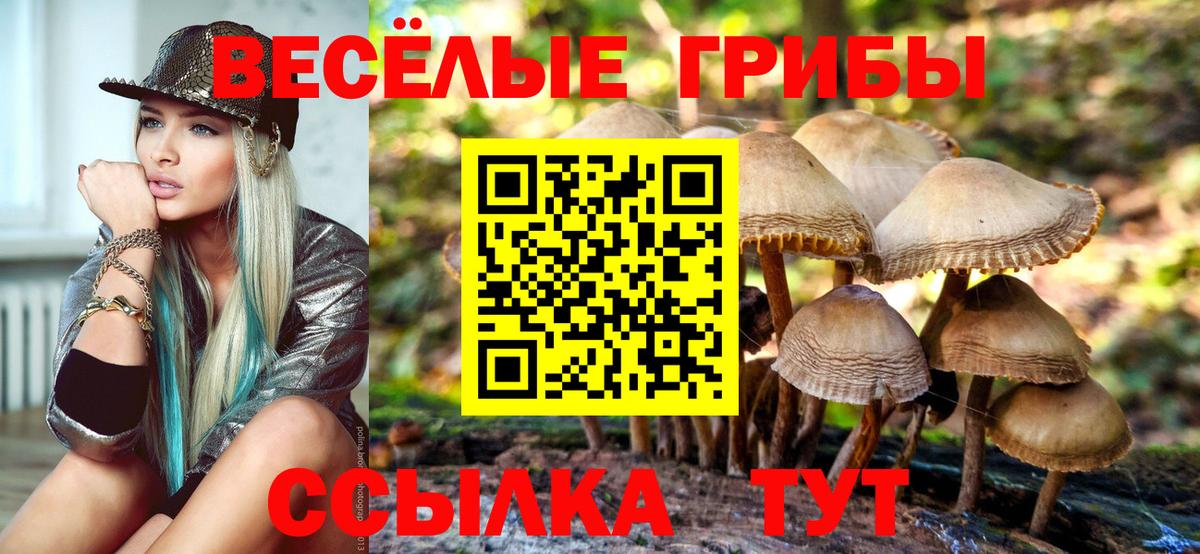 Псилоцибиновые грибы прущие грибы  Галлюциногенные грибы Psilocybe  Вход с VPN  Мичуринск 