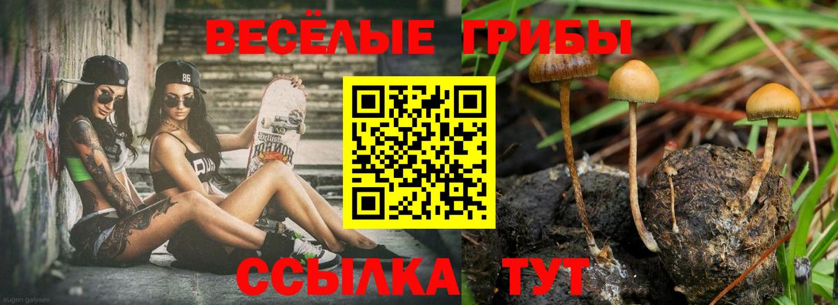 Галлюциногенные грибы ЛСД Мичуринск
